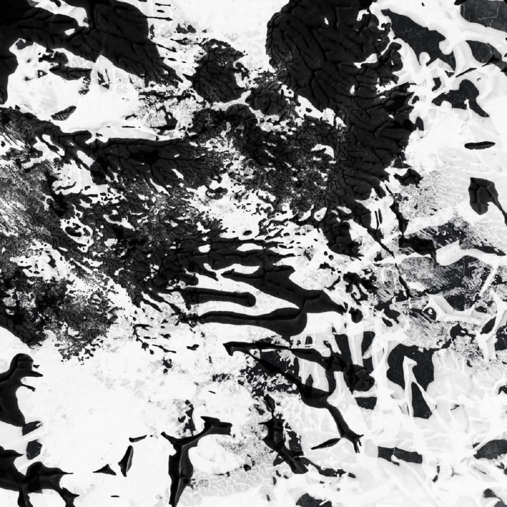 Monochrome Study IV