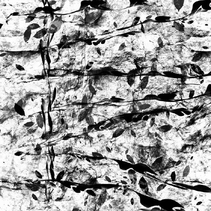 Monochrome Study III