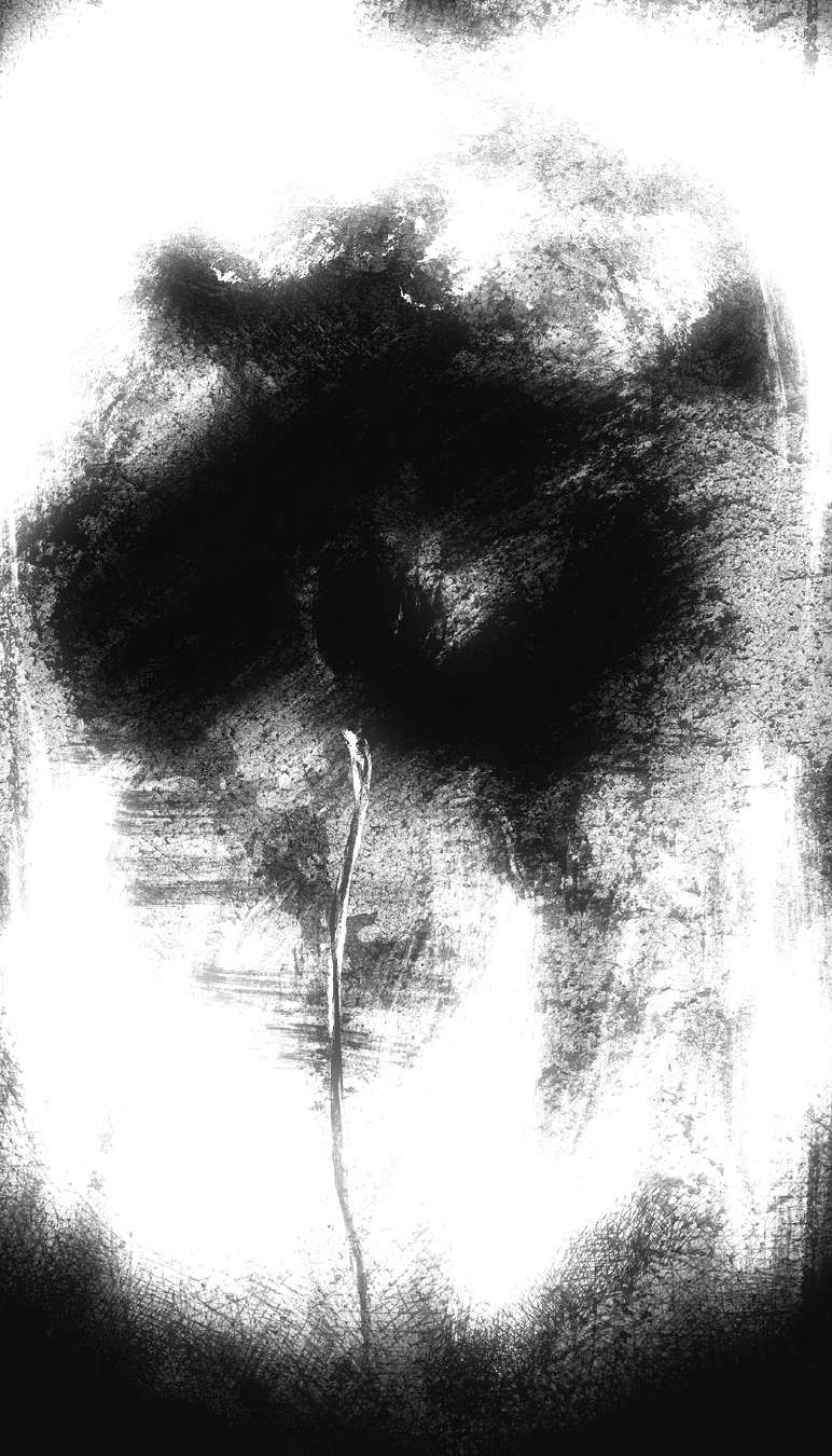 Monochrome Study VIII
